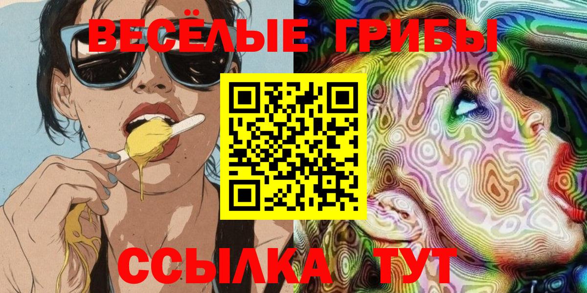 купить закладку  Вход с VPN  Шали  Псилоцибиновые грибы Magic Shrooms 